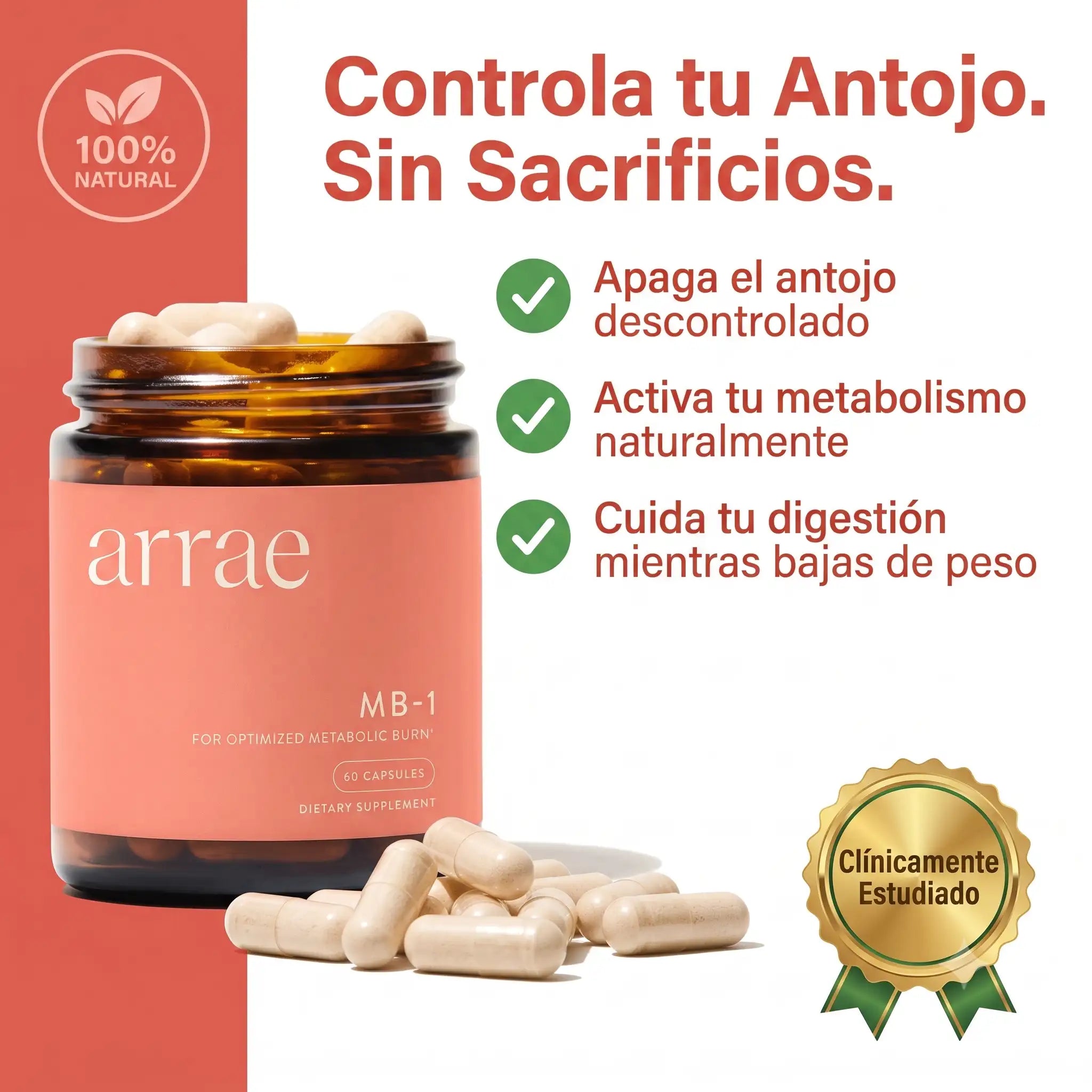 Arrae MB-1