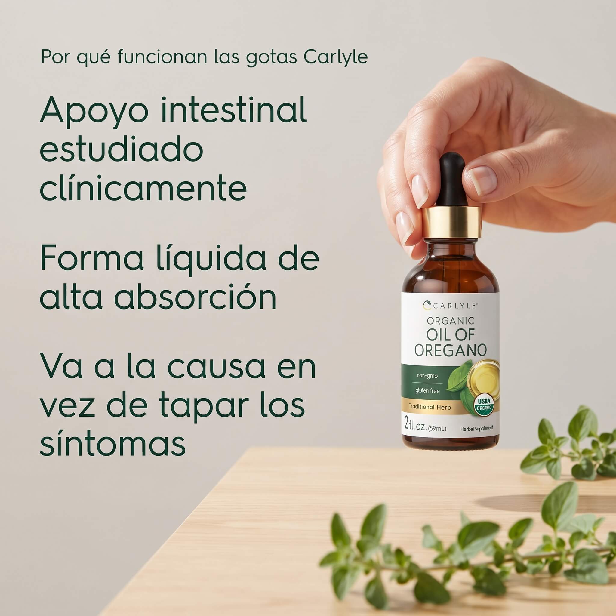 Gotas de Aceite de Orégano Carlyle | 70% Carvacrol
