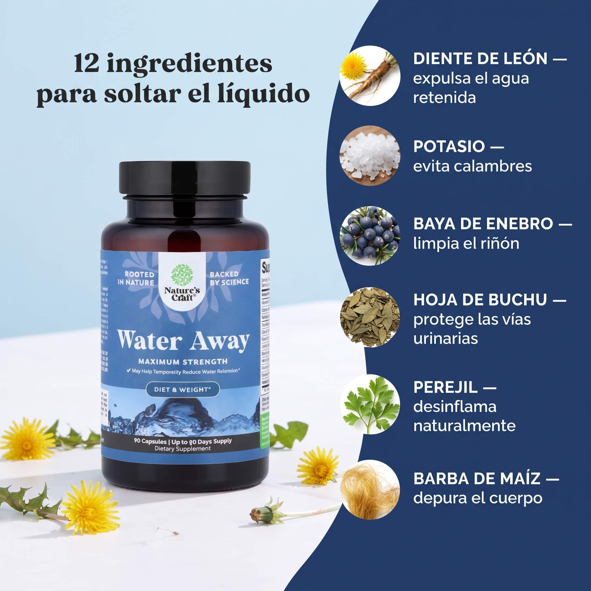 Water Away — Retención de Líquidos