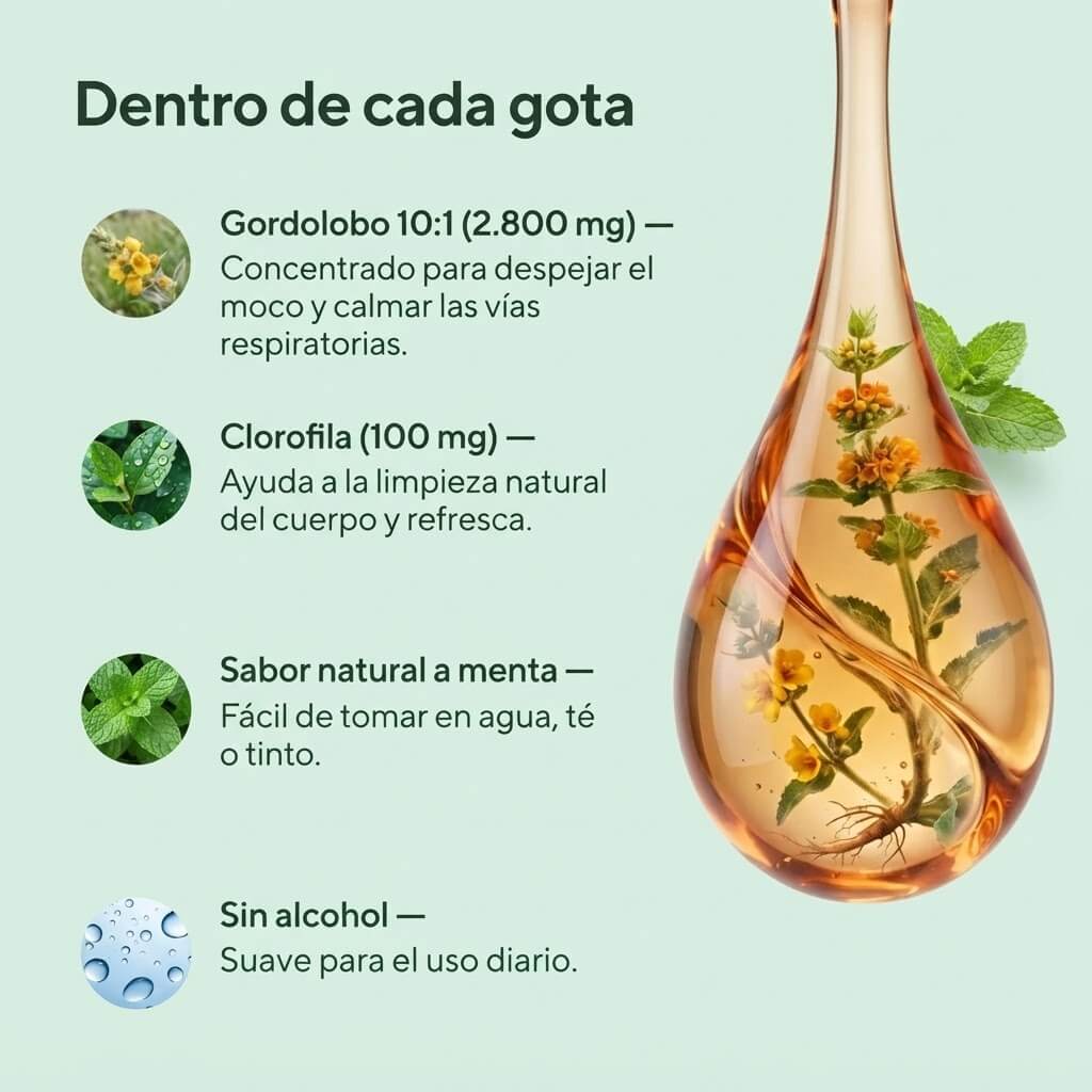 BetterLungs® Gotas de Gordolobo + Clorofila – 60 ml